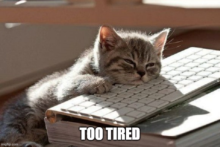 Too Tired | TOO TIRED | image tagged in too tired | made w/ Imgflip meme maker