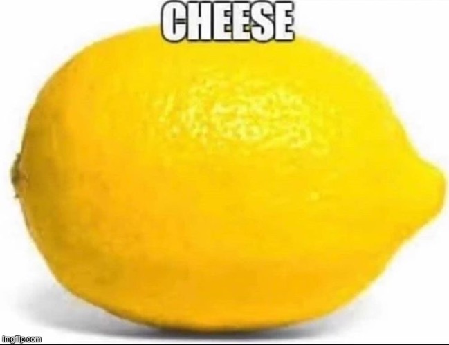 Yep definitely cheese | made w/ Imgflip meme maker