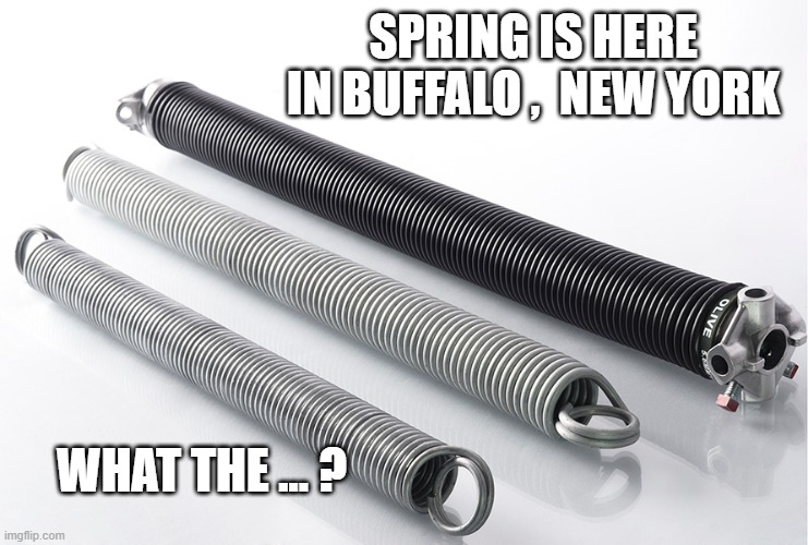 SPRINGTIME IN BUFFALO | SPRING IS HERE
IN BUFFALO ,  NEW YORK; WHAT THE ... ? | image tagged in spring | made w/ Imgflip meme maker