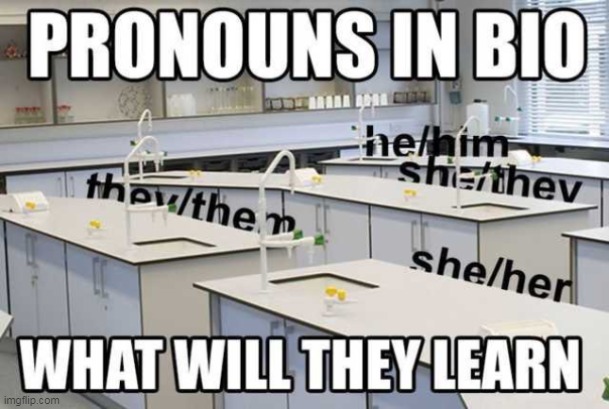 biology stuff | made w/ Imgflip meme maker