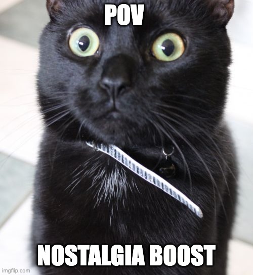Woah Kitty Meme | POV NOSTALGIA BOOST | image tagged in memes,woah kitty | made w/ Imgflip meme maker