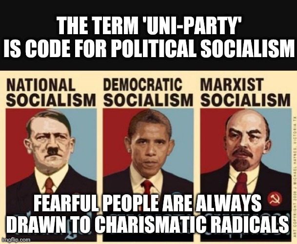 Go Live In Another Country | THE TERM 'UNI-PARTY'
IS CODE FOR POLITICAL SOCIALISM; FEARFUL PEOPLE ARE ALWAYS DRAWN TO CHARISMATIC RADICALS | image tagged in leftists,democrats,liberals,socialism,communism,marxism | made w/ Imgflip meme maker