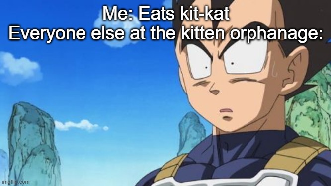 Oh frick... | Me: Eats kit-kat
Everyone else at the kitten orphanage: | image tagged in memes,surprized vegeta | made w/ Imgflip meme maker