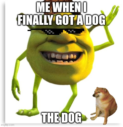 shreck | ME WHEN I FINALLY GOT A DOG; THE DOG | image tagged in shreck | made w/ Imgflip meme maker