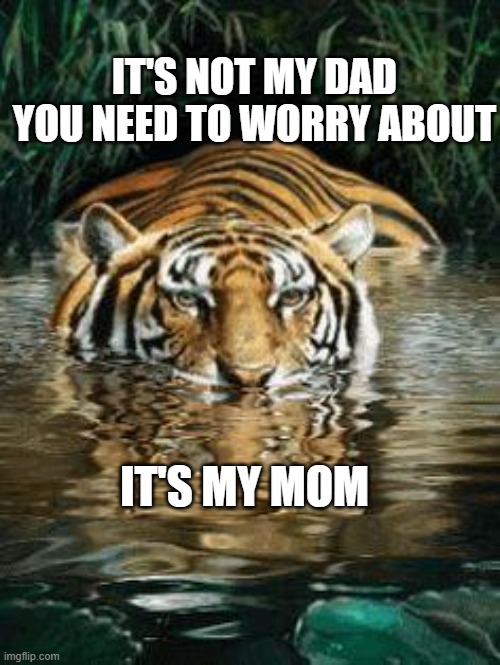Worring about MOM | IT'S NOT MY DAD YOU NEED TO WORRY ABOUT; IT'S MY MOM | image tagged in tiger in water | made w/ Imgflip meme maker