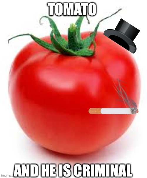 tomato | TOMATO; AND HE IS CRIMINAL | image tagged in tomato | made w/ Imgflip meme maker