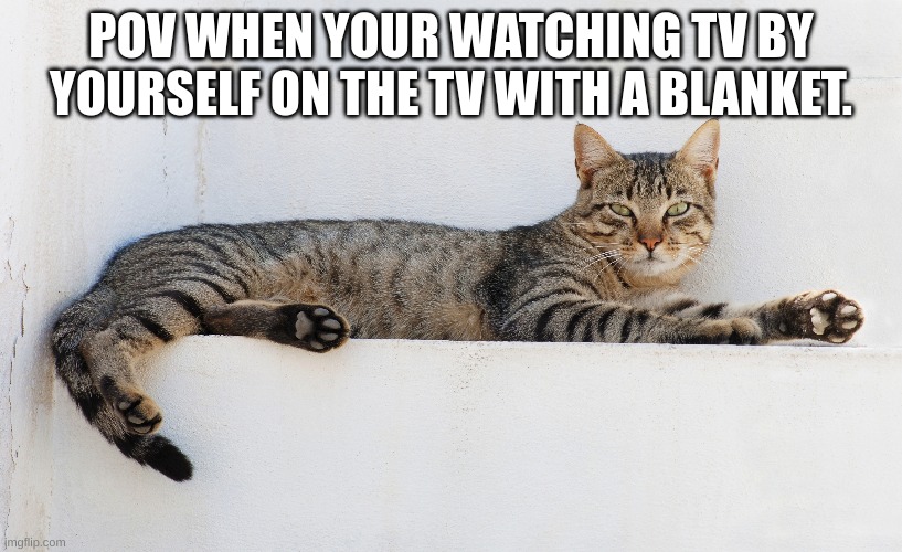 POV WHEN YOUR WATCHING TV BY YOURSELF ON THE TV WITH A BLANKET. | made w/ Imgflip meme maker