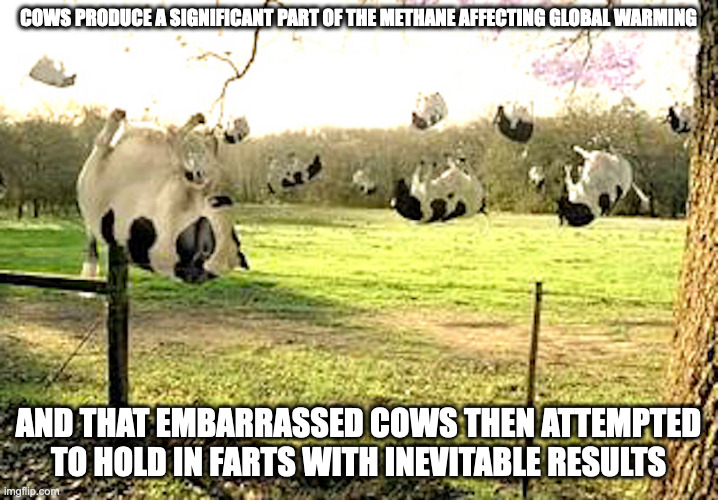 Floating Cows | COWS PRODUCE A SIGNIFICANT PART OF THE METHANE AFFECTING GLOBAL WARMING; AND THAT EMBARRASSED COWS THEN ATTEMPTED TO HOLD IN FARTS WITH INEVITABLE RESULTS | image tagged in cow,memes | made w/ Imgflip meme maker