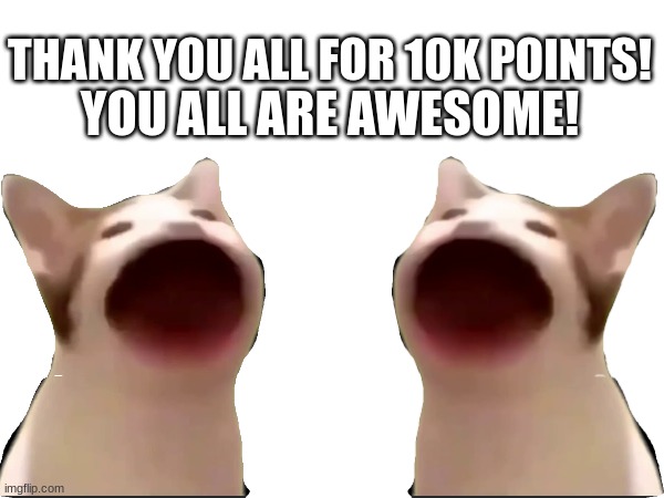 YOU ALL ARE AWESOME! THANK YOU ALL FOR 10K POINTS! | image tagged in black,10k | made w/ Imgflip meme maker