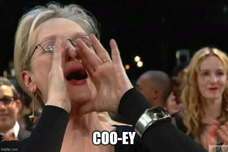 Woman Shouting | COO-EY | image tagged in woman shouting | made w/ Imgflip meme maker