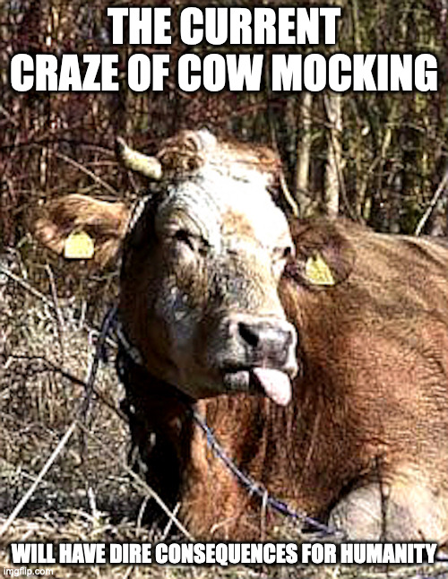 Cow Tongue | THE CURRENT CRAZE OF COW MOCKING; WILL HAVE DIRE CONSEQUENCES FOR HUMANITY | image tagged in cow,memes | made w/ Imgflip meme maker