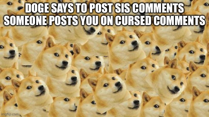 Multi Doge Meme | DOGE SAYS TO POST SIS COMMENTS SOMEONE POSTS YOU ON CURSED COMMENTS | image tagged in memes,multi doge | made w/ Imgflip meme maker