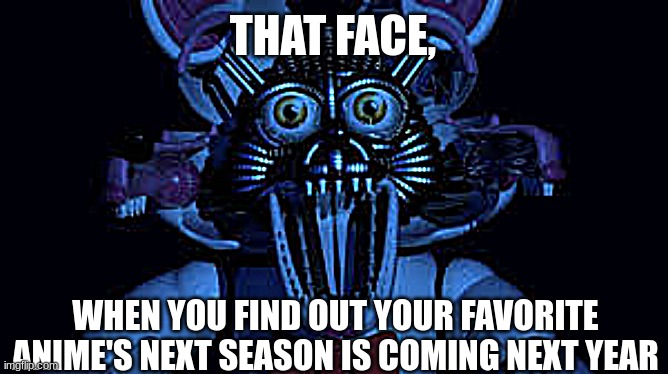 bruh this happens too much too me | THAT FACE, WHEN YOU FIND OUT YOUR FAVORITE ANIME'S NEXT SEASON IS COMING NEXT YEAR | image tagged in funtime foxy jumpscare fnaf sister location | made w/ Imgflip meme maker