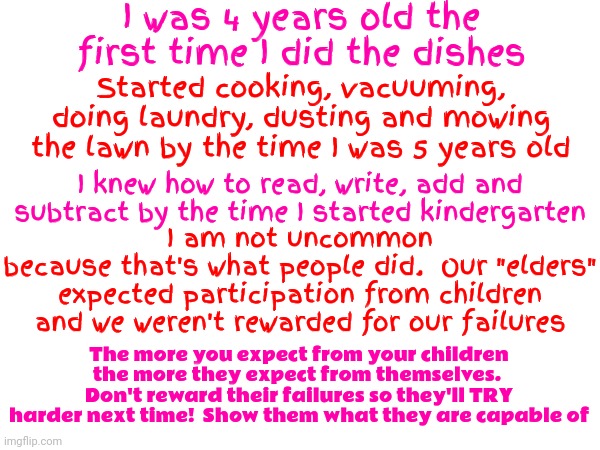 Expectations | I was 4 years old the first time I did the dishes; Started cooking, vacuuming, doing laundry, dusting and mowing the lawn by the time I was 5 years old; I knew how to read, write, add and subtract by the time I started kindergarten; I am not uncommon
because that's what people did.  Our "elders" expected participation from children and we weren't rewarded for our failures; The more you expect from your children the more they expect from themselves.  Don't reward their failures so they'll TRY harder next time!  Show them what they are capable of | image tagged in it's all your fault,parenting,bad parenting,parenthood,bad parents,good parents | made w/ Imgflip meme maker