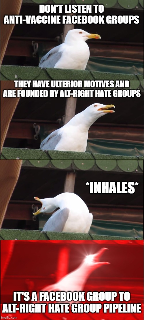 Inhaling Seagull Meme | DON'T LISTEN TO ANTI-VACCINE FACEBOOK GROUPS; THEY HAVE ULTERIOR MOTIVES AND ARE FOUNDED BY ALT-RIGHT HATE GROUPS; *INHALES*; IT'S A FACEBOOK GROUP TO ALT-RIGHT HATE GROUP PIPELINE | image tagged in memes,inhaling seagull | made w/ Imgflip meme maker