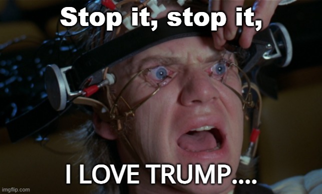 Clockwork Orange | Stop it, stop it, I LOVE TRUMP.... | image tagged in clockwork orange | made w/ Imgflip meme maker