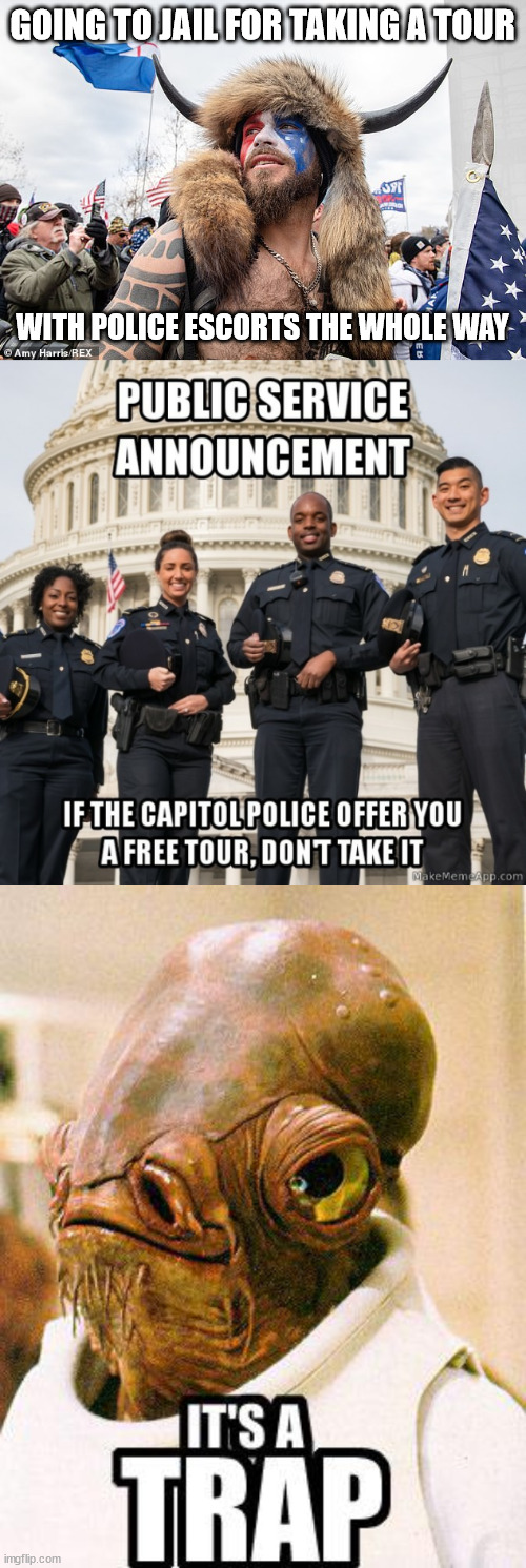 Pelosi staged insurrection...  there's a reason why they refused help from the National Guard | GOING TO JAIL FOR TAKING A TOUR; WITH POLICE ESCORTS THE WHOLE WAY | image tagged in qanon shaman,its a trap,pelosi,lies | made w/ Imgflip meme maker