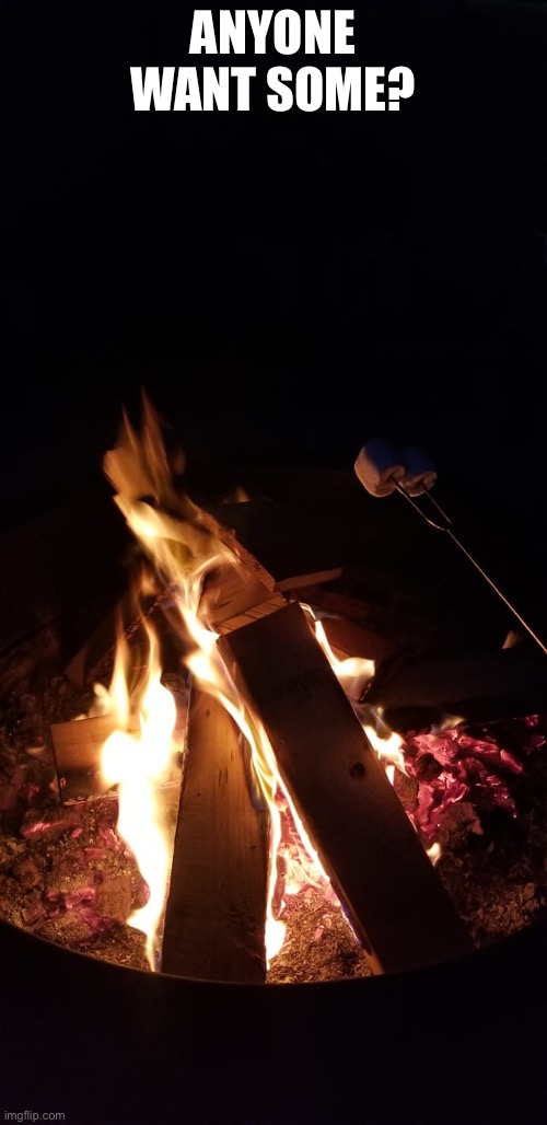 Bonfire smores | ANYONE WANT SOME? | image tagged in bonfire smores | made w/ Imgflip meme maker