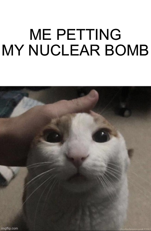 me petting my cat | ME PETTING MY NUCLEAR BOMB | image tagged in me petting my cat | made w/ Imgflip meme maker
