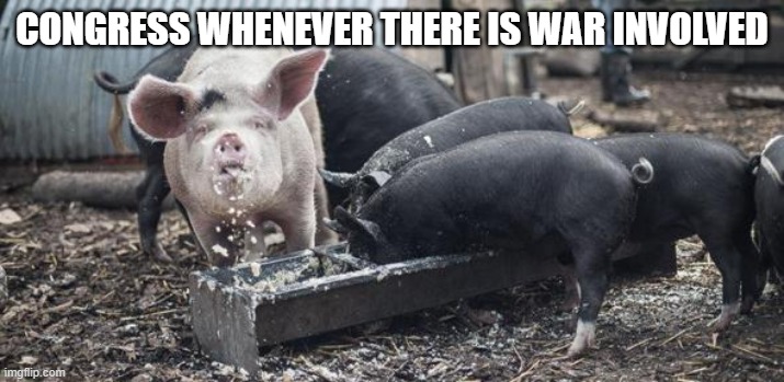 War Pigs | CONGRESS WHENEVER THERE IS WAR INVOLVED | image tagged in feeding pigs,congress,politicians suck,government corruption | made w/ Imgflip meme maker