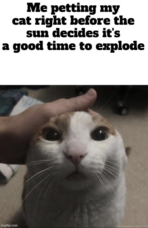 me petting my cat | Me petting my cat right before the sun decides it's a good time to explode | image tagged in me petting my cat | made w/ Imgflip meme maker