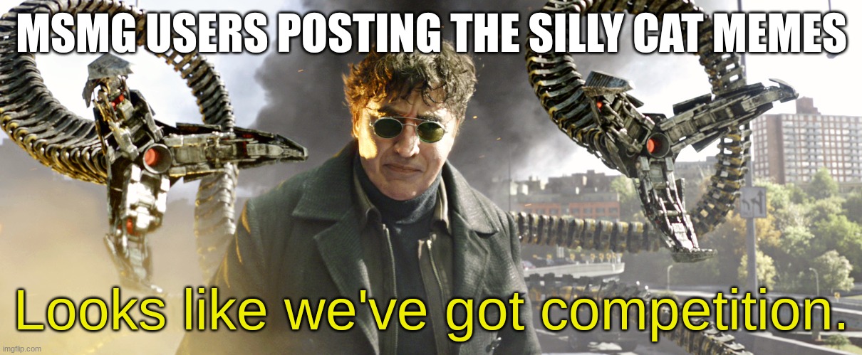 Looks like we've got competition | MSMG USERS POSTING THE SILLY CAT MEMES | image tagged in looks like we've got competition | made w/ Imgflip meme maker