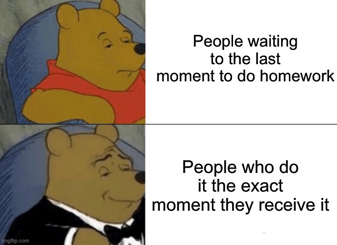 Students vs. Better Students | People waiting to the last moment to do homework; People who do it the exact moment they receive it | image tagged in memes,tuxedo winnie the pooh | made w/ Imgflip meme maker