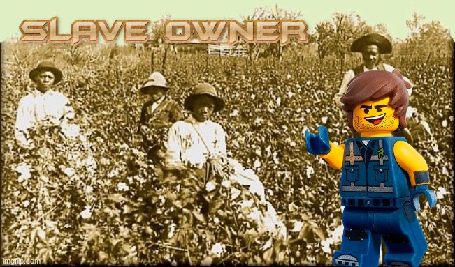 cotton slaves | image tagged in cotton slaves | made w/ Imgflip meme maker