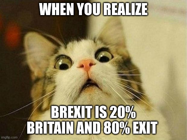 Scared Cat Meme | WHEN YOU REALIZE; BREXIT IS 20% BRITAIN AND 80% EXIT | image tagged in memes,scared cat | made w/ Imgflip meme maker