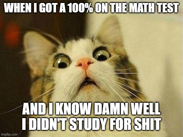 didn't study for sh*t | WHEN I GOT A 100% ON THE MATH TEST; AND I KNOW DAMN WELL I DIDN'T STUDY FOR SHIT | image tagged in memes,scared cat,funny | made w/ Imgflip meme maker