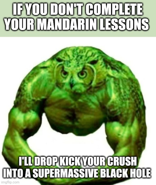 Don't drop kick my crush Into a supermassive black hole!!! | IF YOU DON'T COMPLETE YOUR MANDARIN LESSONS; I'LL DROP KICK YOUR CRUSH INTO A SUPERMASSIVE BLACK HOLE | image tagged in buff duolingo | made w/ Imgflip meme maker