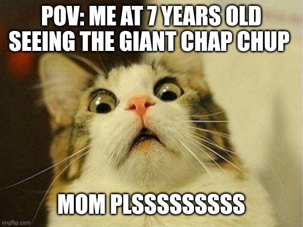 Mommmmmmmmm | POV: ME AT 7 YEARS OLD SEEING THE GIANT CHAP CHUP; MOM PLSSSSSSSSS | image tagged in memes,scared cat | made w/ Imgflip meme maker