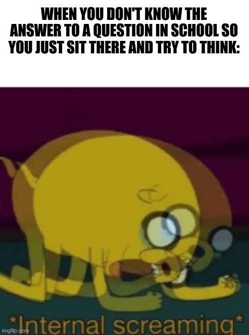 Jake The Dog Internal Screaming | WHEN YOU DON'T KNOW THE ANSWER TO A QUESTION IN SCHOOL SO YOU JUST SIT THERE AND TRY TO THINK: | image tagged in jake the dog internal screaming | made w/ Imgflip meme maker