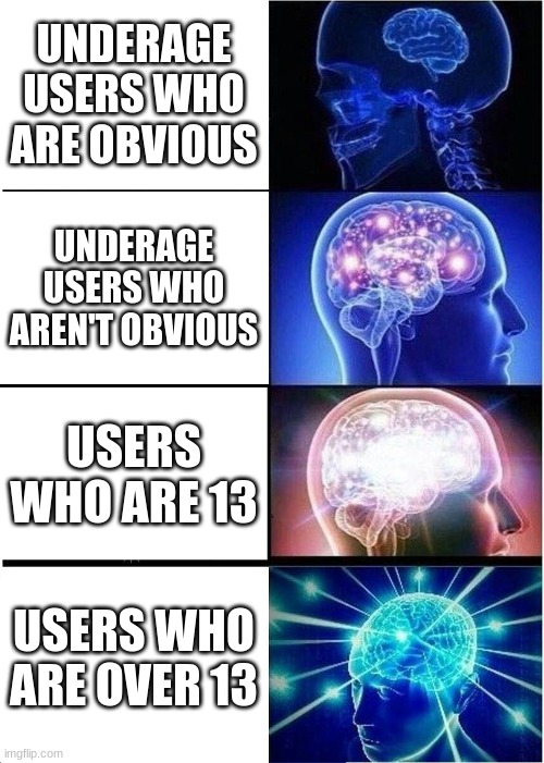 . | UNDERAGE USERS WHO ARE OBVIOUS; UNDERAGE USERS WHO AREN'T OBVIOUS; USERS WHO ARE 13; USERS WHO ARE OVER 13 | image tagged in memes,expanding brain | made w/ Imgflip meme maker