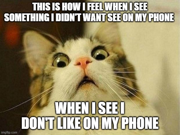 Scared Cat Meme | THIS IS HOW I FEEL WHEN I SEE SOMETHING I DIDN'T WANT SEE ON MY PHONE; WHEN I SEE I DON'T LIKE ON MY PHONE | image tagged in memes,scared cat | made w/ Imgflip meme maker