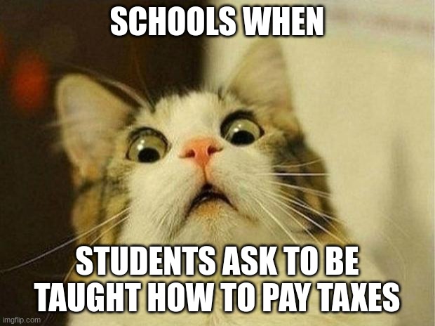 Why | SCHOOLS WHEN; STUDENTS ASK TO BE TAUGHT HOW TO PAY TAXES | image tagged in memes,scared cat | made w/ Imgflip meme maker