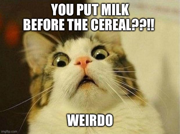 Man who does this… | YOU PUT MILK BEFORE THE CEREAL??!! WEIRDO | image tagged in memes,scared cat | made w/ Imgflip meme maker