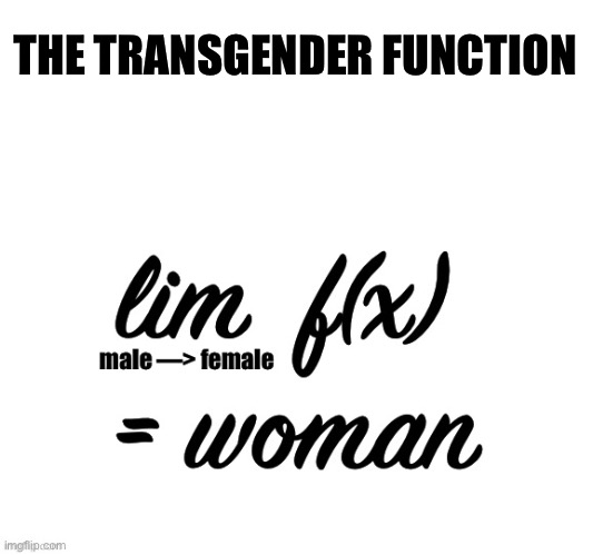 Conjunction Junction What’s Your Function? | THE TRANSGENDER FUNCTION | image tagged in calculus,limits,transgender,male,female,woman | made w/ Imgflip meme maker