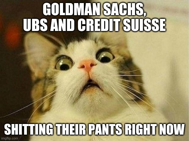 Margin Call #lawsuits #karmazabitch #bettercallsaul #crimesagainsthumanity | GOLDMAN SACHS, UBS AND CREDIT SUISSE; SHITTING THEIR PANTS RIGHT NOW | image tagged in memes,scared cat | made w/ Imgflip meme maker