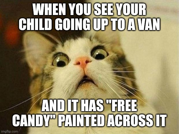 Scared Cat Meme | WHEN YOU SEE YOUR CHILD GOING UP TO A VAN; AND IT HAS "FREE CANDY" PAINTED ACROSS IT | image tagged in memes,scared cat,free candy van | made w/ Imgflip meme maker