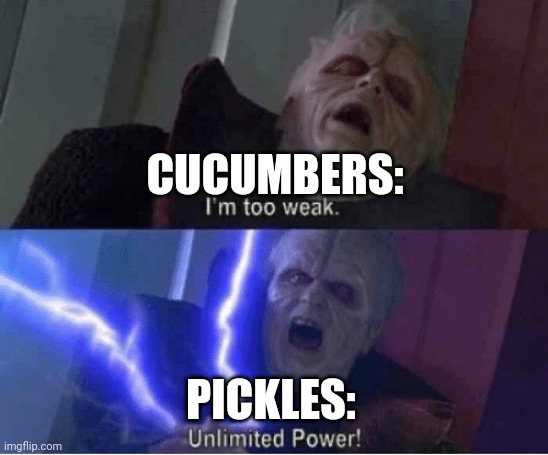 Pickles Unlimited Imgflip