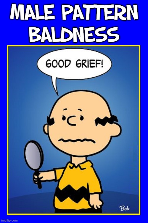 Baldness is NO joking matter! | MALE PATTERN
BALDNESS | image tagged in vince vance,charlie brown,baldness,memes,peanuts,good grief | made w/ Imgflip meme maker