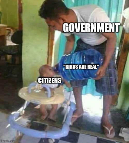 Goverment go brrrrrrrrrrrrrrrrrrrrrr | GOVERNMENT; "BIRDS ARE REAL"; CITIZENS | image tagged in baby drinking water cooler | made w/ Imgflip meme maker