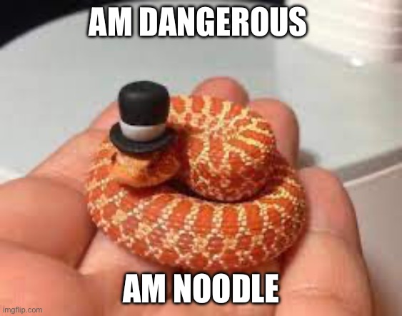 Danger noodle | AM DANGEROUS; AM NOODLE | image tagged in danger noodle | made w/ Imgflip meme maker