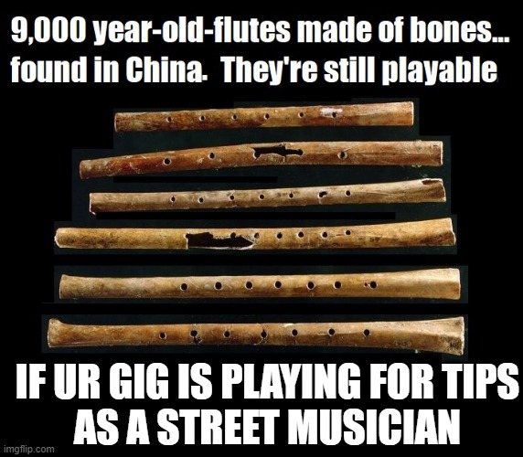 Reincarnated as a Musical Instrument | IF UR GIG IS PLAYING FOR TIPS
AS A STREET MUSICIAN | image tagged in vince vance,musician,china,memes,tips,flute | made w/ Imgflip meme maker
