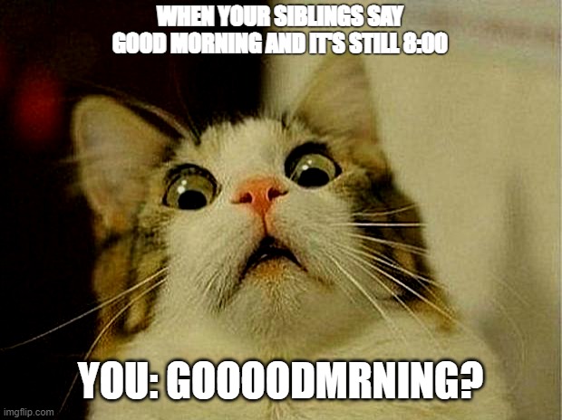 8:00 AM | WHEN YOUR SIBLINGS SAY GOOD MORNING AND IT'S STILL 8:00; YOU: GOOOODMRNING? | image tagged in memes,scared cat | made w/ Imgflip meme maker