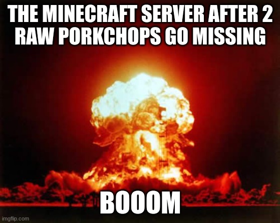 Nuclear Explosion | THE MINECRAFT SERVER AFTER 2
RAW PORKCHOPS GO MISSING; BOOOM | image tagged in memes,nuclear explosion | made w/ Imgflip meme maker