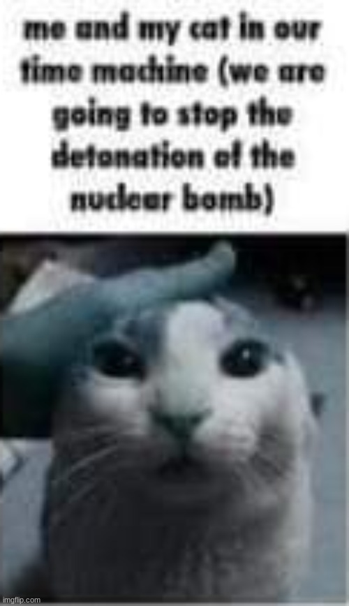 made w/ Imgflip meme maker