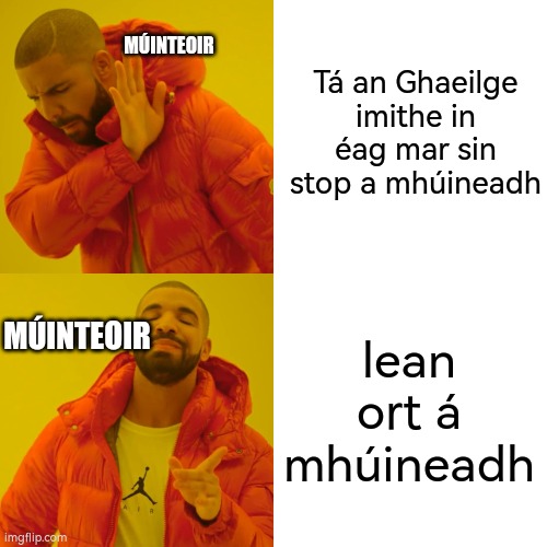 This is in Gaeilge/Irish for people translating | Tá an Ghaeilge imithe in éag mar sin stop a mhúineadh; MÚINTEOIR; MÚINTEOIR; lean ort á mhúineadh | image tagged in memes,true,irish | made w/ Imgflip meme maker