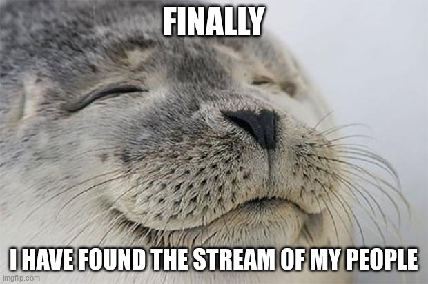 Satisfied Seal | FINALLY; I HAVE FOUND THE STREAM OF MY PEOPLE | image tagged in memes,satisfied seal | made w/ Imgflip meme maker